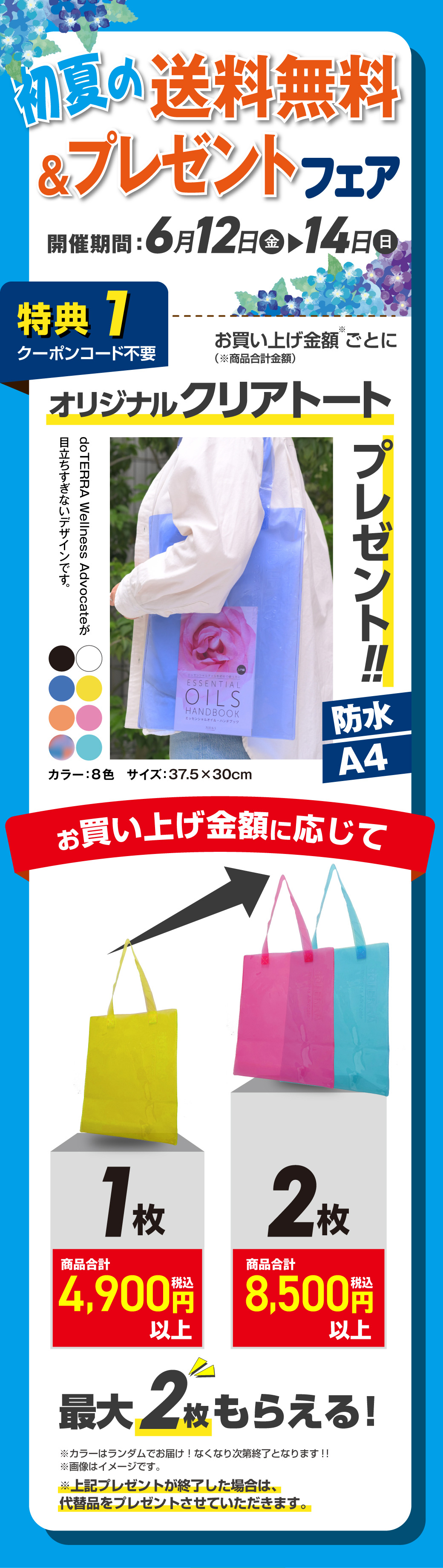 初夏の送料無料＆プレゼントフェア