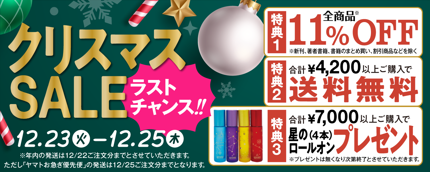 Christmas final sale