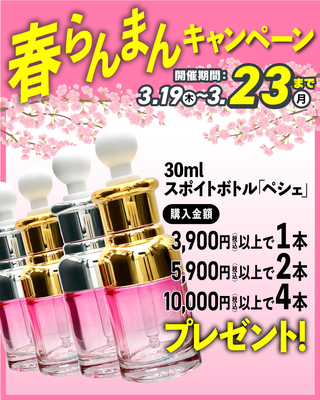 ペシェプレゼント