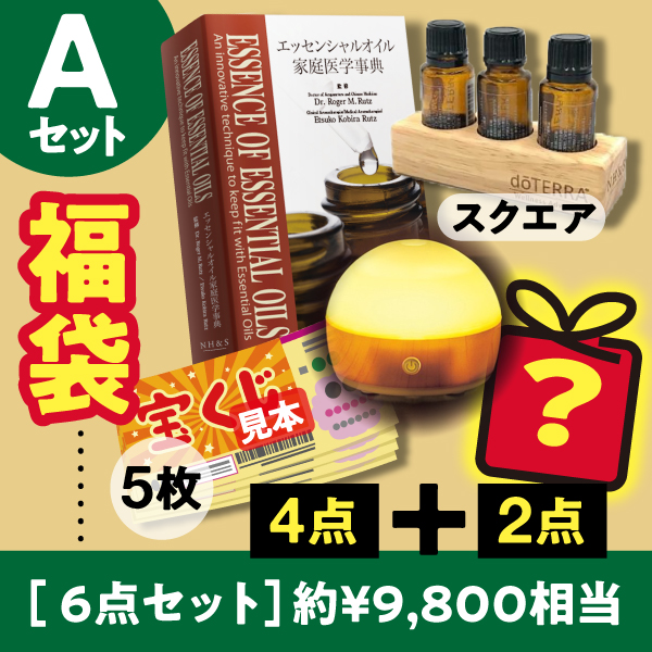 初夢セール 福袋A